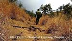 Foto Terkini Longsor di Jalur-jalur Pendakian Gunung Rinjani