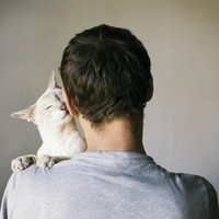 Seperti dikutip dari Psychology Today, pencinta kucing umumnya membutuhkan perhatian. Studi Denise Guastello dan sejumlah rekannya mengungkapkan, 45,6 persen penggemar kucing menginginkah kasih sayang. Foto: iStock