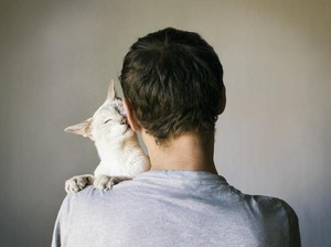Cat Lovers Malang Ingin Beri Sanksi Sosial ke Pria yang Paku Kucing di Pohon