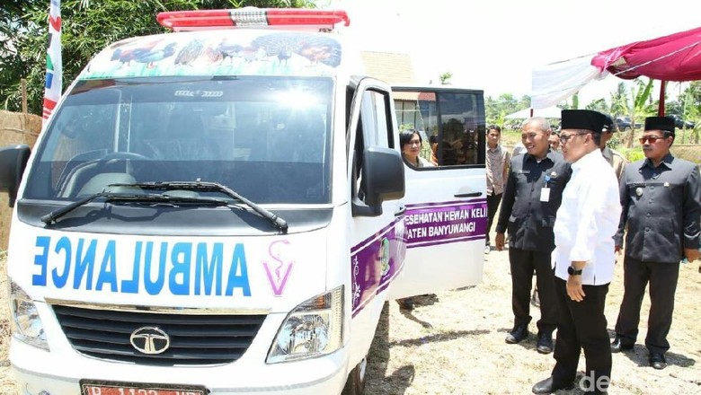 Di Banyuwangi, Ada Ambulans Khusus Hewan Peliharaan dan Ternak Di Banyuwangi, Ada Ambulans Khusus Hewan Peliharaan dan Ternak