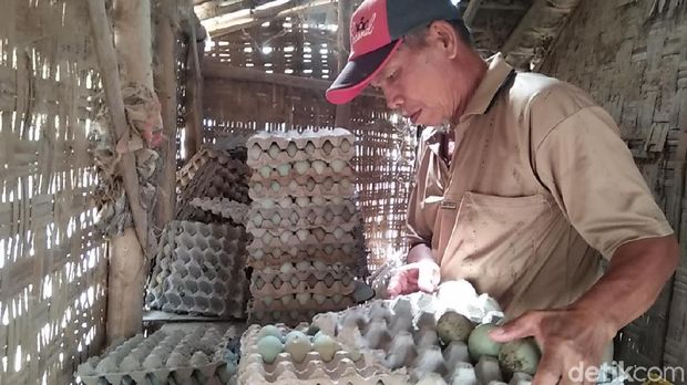 Nasib Sotoloyo, dari Jadi Bahan Ledekan hingga Digulung Wabah