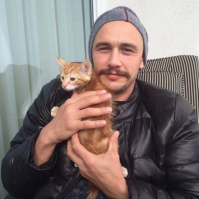 James Franco dibesarkan dalam keluarga yang menyukai kucing. Ia juga memelihara dua kucing yang diberi nama Sammy dan Zelda. Foto: Instagram
