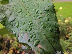 Ini Hasil Jepretan 3 Kamera Leica Huawei Mate 20 Pro