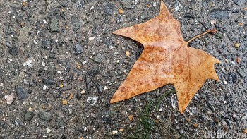 Foto: detikINET/Anggoro Suryo Jati
