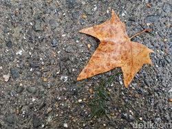 Melihat Hasil Jepretan Kamera Huawei Mate 20 Pro