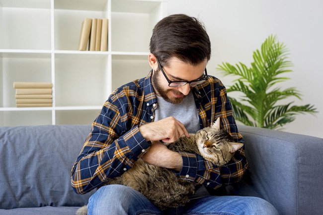 Berdasarkan studi yang dilakukan Denise Guastello terhadap 600 mahasiswa di sejumlah universitas di Amerika Serikat, orang yang menyukai kucing punya perasaan yang lebih sensitif tapi juga berpikiran terbuka. Foto: iStock