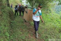 4 Owa Jawa Dilepasliarkan di Gunung Tilu Bandung