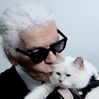 Karl Lagerfeld sangat menyayangi kucing semata wayangnya, Choupette. Menurutnya, Choupette adalah kucing paling cantik di dunia. Foto: Instagram