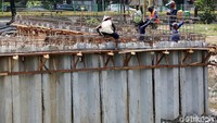 Pekerja merangkai besi di atas dinding beton Kali Sunter.