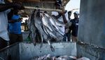 Potret Miris Pulau Terpadat di Afrika