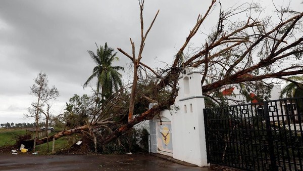 Rumah Rusak-Pohon Tumbang, Begini Dampak Badai Willa di Meksiko