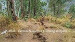 Foto Terkini Longsor di Jalur-jalur Pendakian Gunung Rinjani