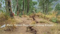 Masih di Jalur Sembalun, dari 14 shelter, ada 1 rusak berat, 1 rusak ringan dan lainnya dalam kondisi baik (Dok. Balai Taman Nasional Gunung Rinjani)