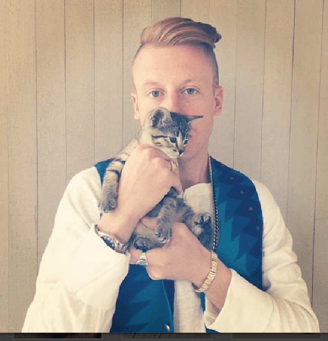 Penyanyi dan rapper Macklemore mengadopsi kucing belangnya, Cairo, dan merasa bahagia akan kehadiran teman berbulunya itu. Keputusan terbaik yang pernah aku buat... Semuanya ayo kenalan dengan Cairo, tulis Macklemore saat memamerkan foto kucingnya di Instagram. Foto: Instagram