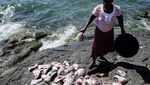 Potret Miris Pulau Terpadat di Afrika