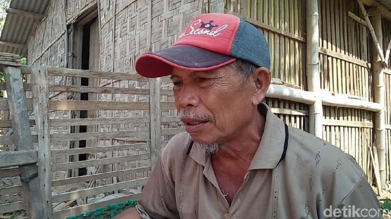 Curahan Hati Para Sontoloyo Curahan Hati Para Sontoloyo