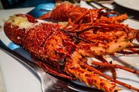 Bukan Roti, 'Burger' Isi Bacon Ini Diapit Lobster Goreng Tepung!