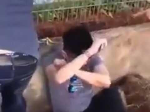 Putrinya Disakiti, Pembalasan Ayah pada Menantunya Ini Jadi Sensasi