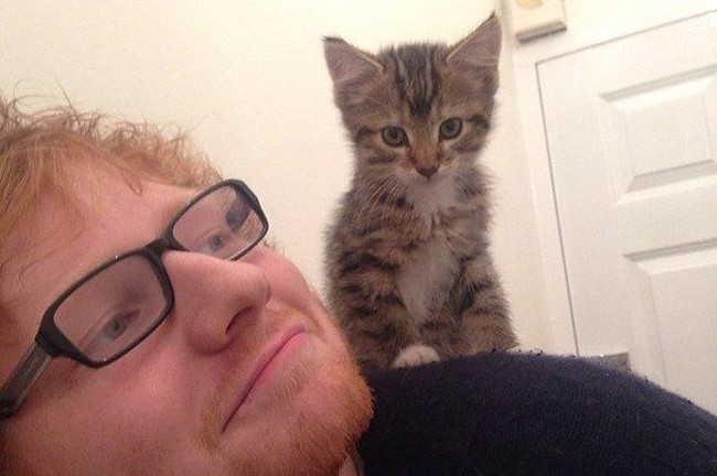 Ed Sheeran juga diketahui sebagai penyayang kucing. Dia memiliki kucing lucu yang diberi nama Boris. Foto: Instagram