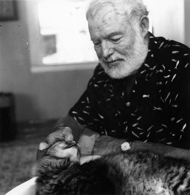 EH8505(A)P   1960Ernest Hemingway pets his cat.  Inscribed on reverse: 