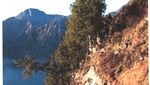 Foto Terkini Longsor di Jalur-jalur Pendakian Gunung Rinjani