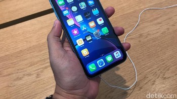 Ini iPhone XR versi biru. (Foto: detikINET/Adi Fida Rahman)