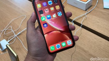 iPhone XR warna coral. (Foto: detikINET/Adi Fida Rahman)