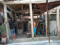Rumah Bapak-Anak Tak Layak Huni di Situbondo Mulai Dibongkar