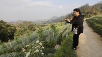 Tak hanya ke kaki Gunung Lawu, yakni basecamp, Ani Yudhoyono juga SBY berkeliling ke Tawangmangu. Seperti diketahui bahwa Gunung Lawu sudah sering dikunjungi oleh para pemimpin negeri ini dan yang paling terkenal adalah mantan Presiden Soeharto. Kisah klenik pun menyelimutinya (Ani Yudhoyono/Instagram)