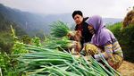 Momen Ani dan SBY Mengenang Pendakiannya ke Gunung Lawu