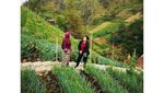Momen Ani dan SBY Mengenang Pendakiannya ke Gunung Lawu