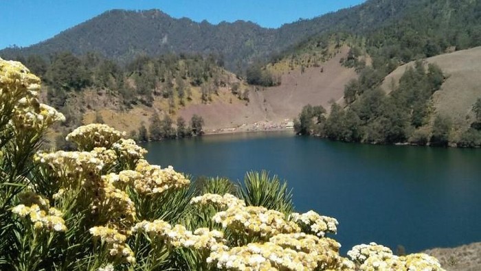 danau