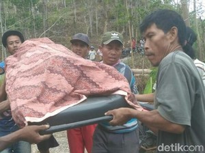 Gali Parit, Warga Kebumen Tewas Tertimbun Tanah