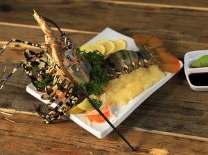 Ini 5 Jenis Lobster Unggulan yang Super Enak