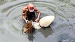 Kisah Para Pencari Cacing Sutra, Memancing Rezeki di Kali Ibukota
