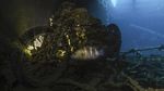 Foto: Surga Bawah Laut Mesir, Taman Nasional Ras Mohammad