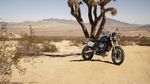 Cantiknya Triumph Scrambler 1200