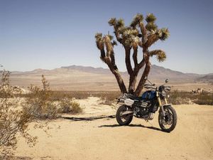 Triumph Scrambler 1200 Akhirnya Nongol, Ini Bentuknya