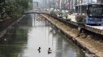 Kisah Para Pencari Cacing Sutra, Memancing Rezeki di Kali Ibukota
