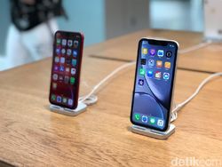 Warna-warni iPhone XR