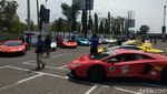 Puluhan Banteng Italia Digeber dari Semarang hingga Yoygakarta
