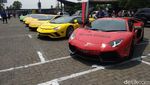 Puluhan Banteng Italia Digeber dari Semarang hingga Yoygakarta