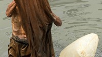 Biasanya, dalam sehari Pak Syafii mampu mengumpulkan hingga 10 liter cacing sutra.