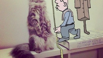 Menguku baju si kucing. (Foto: Lucas Levitan)