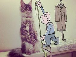 Kombinasi Fotografi dan Animasi yang Kreatif