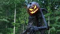 Jack O Lantern menghiasi pekarangan sebuah rumah menjelang perayaan Halloween.