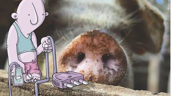 Dengan kemampuan imajinasinya, Lucas berhasil memodifikasi foto-foto dengan tambahan kartu yang terlihat seperti nyata. (Foto: Lucas Levitan)