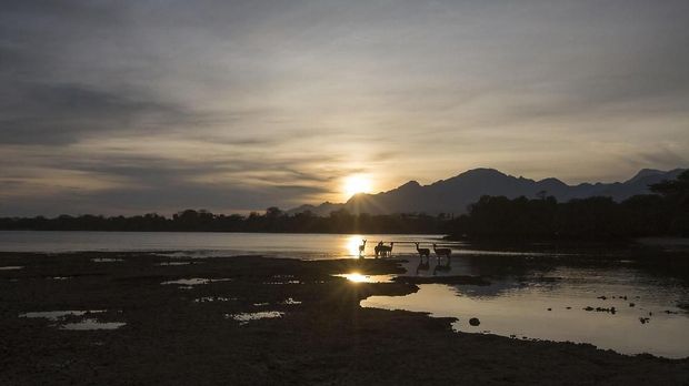 Jelajah Kawasan Taman Nasional Bali Barat