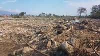Luas kawasan terdampak likuifaksi di Balaroa mencapai 47,8 hektare.
