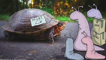 Menanti tumpangan. (Foto: Lucas Levitan)